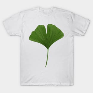 Ginkgo Leaf T-Shirt